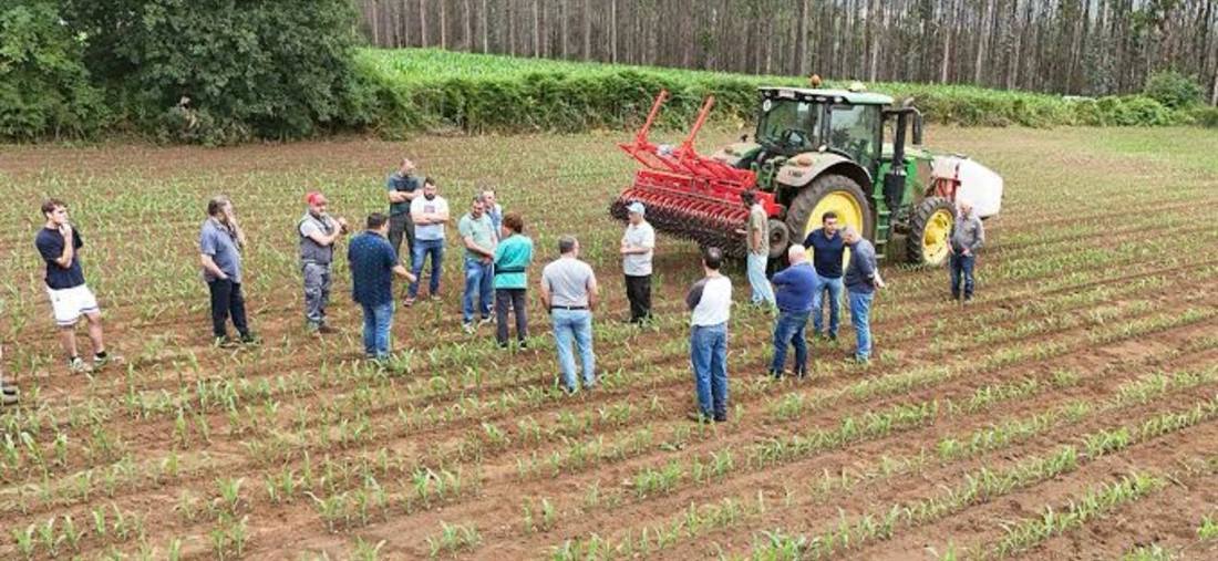 Equipo coordinando trabajo en campo junto a maquinaria